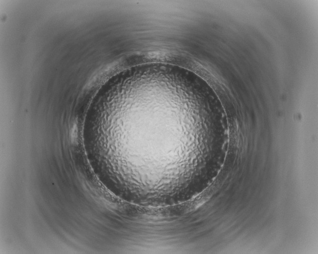 X0000082140502200701191147