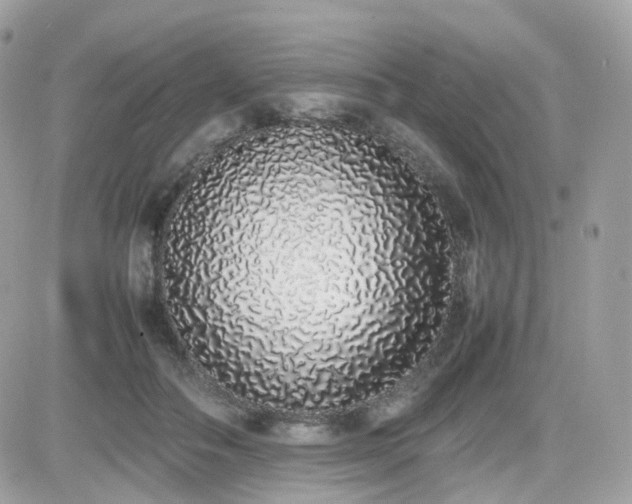 X0000082140506200701191147