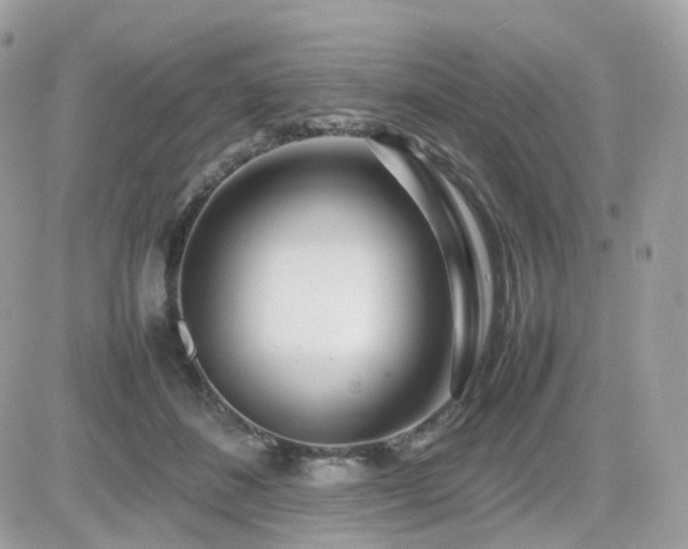 X0000082140508200701191147