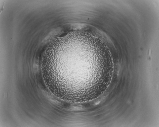 X0000082140510200701191147
