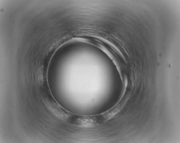 X0000082140512200701191147