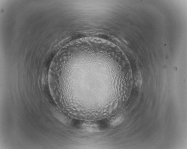 X0000082140515200701191147