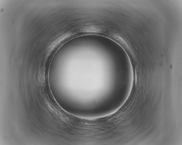 X0000082140531200701191146