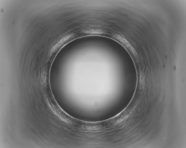 X0000082140533200701191146