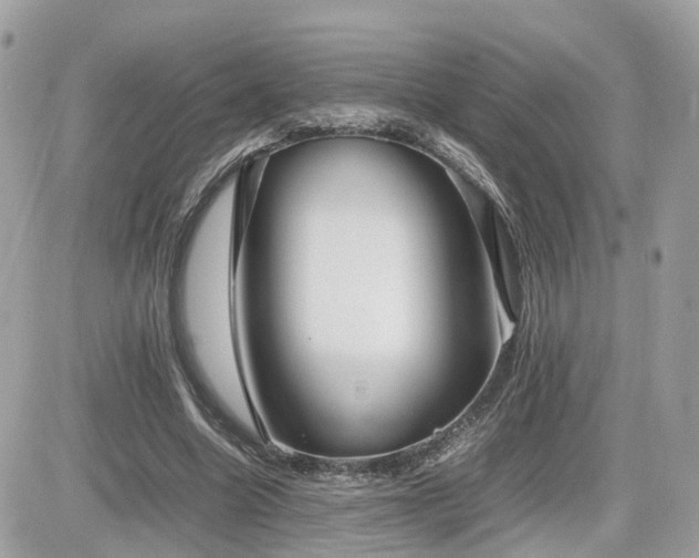 X0000082140538200701191146