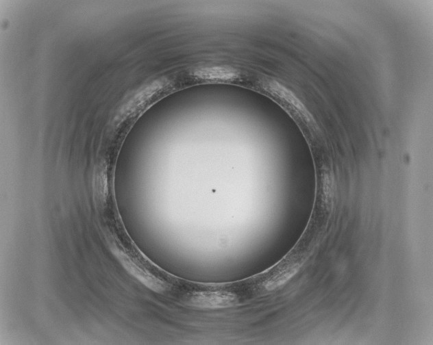 X0000082140541200701191146