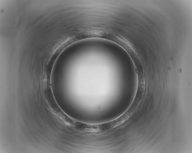 X0000082140552200701191147