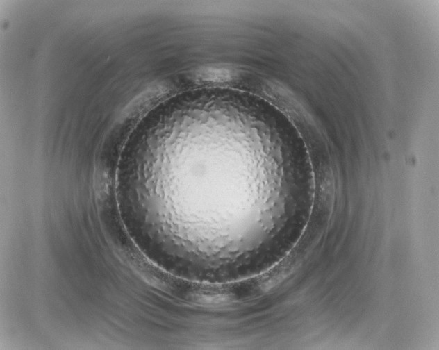 X0000082140555200701191147