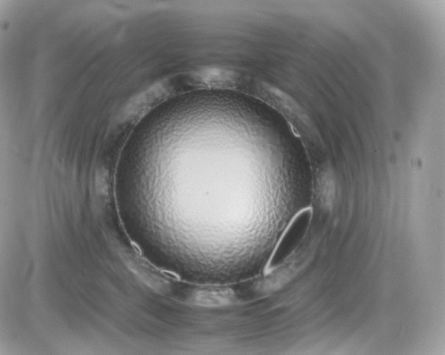 X0000082140571200701191147