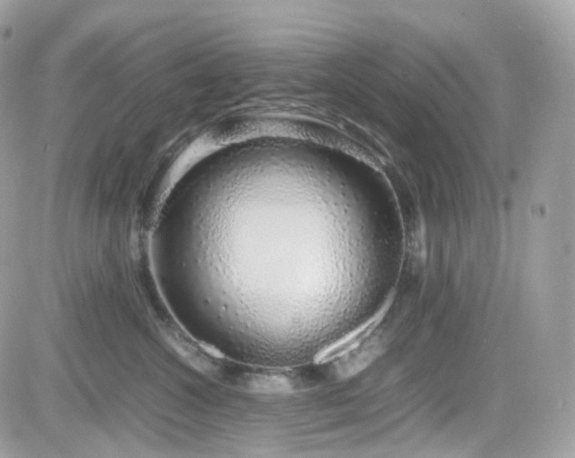 X0000082140572200701191147