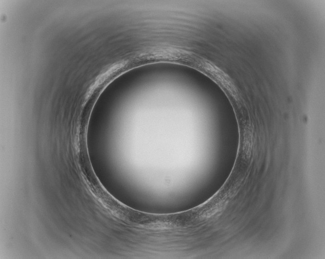 X0000082140578200701191146