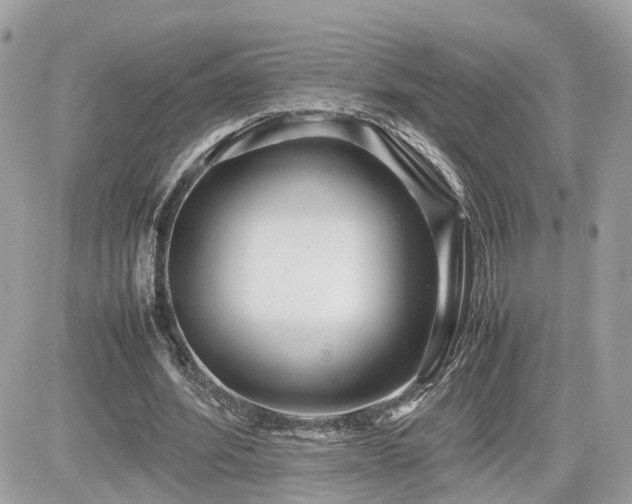 X0000082140580200701191146