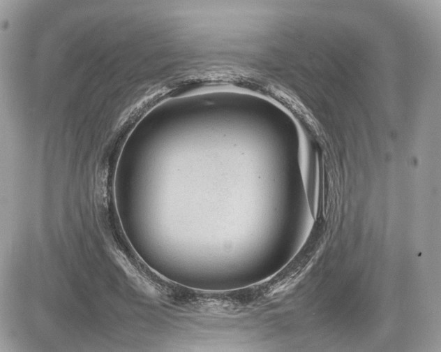 X0000082140585200701191146