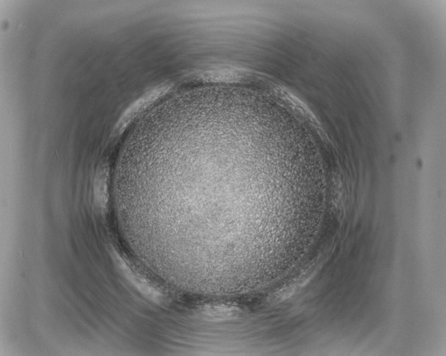 X0000082140586200701191146