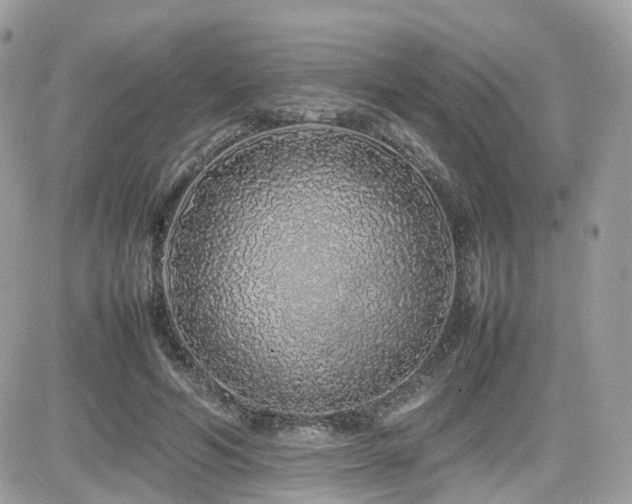 X0000082140594200701191146