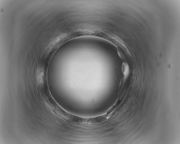 X0000082140596200701191146