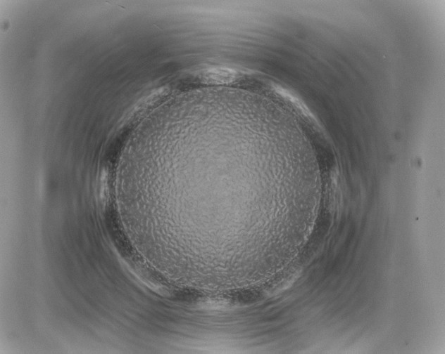 X0000082140598200701191146