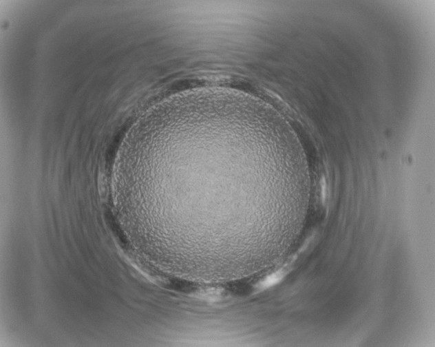 X0000082140609200701191146