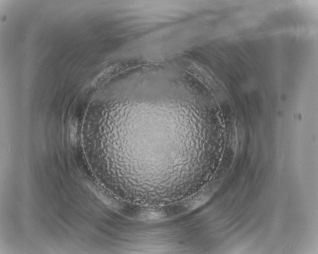 X0000082140610200701191146