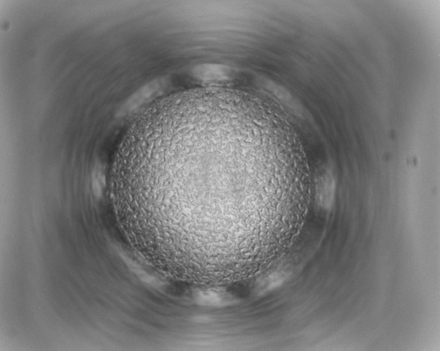 X0000082140618200701191145
