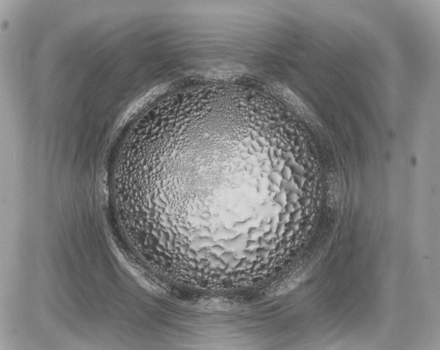 X0000082140634200701191145