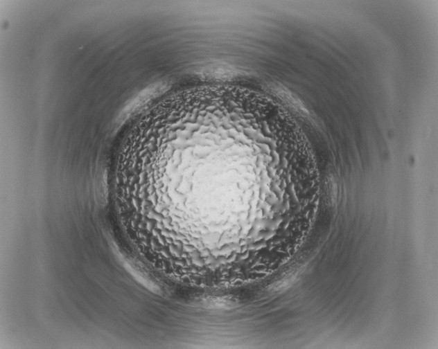 X0000082140638200701191145