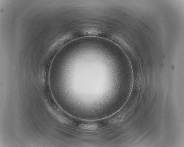X0000082140639200701191145