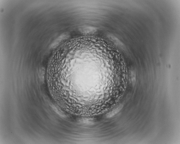 X0000082140664200701191145