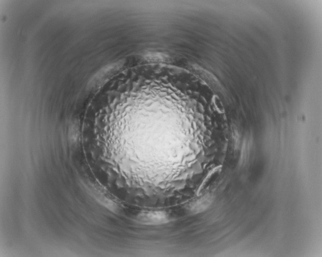 X0000082140665200701191145