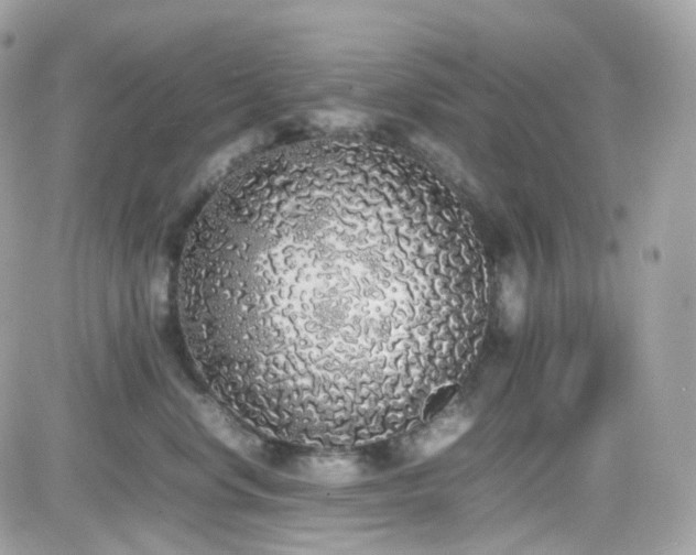 X0000082140668200701191145