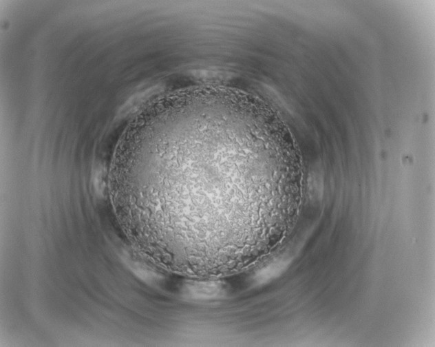 X0000082140671200701191145