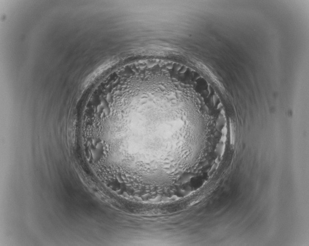 X0000082140675200701191145