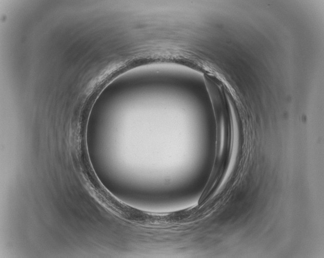 X0000082140677200701191145