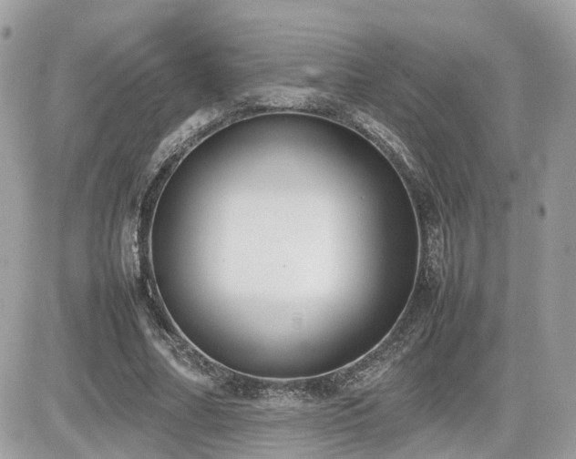 X0000082140682200701191144