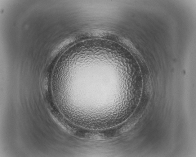 X0000082140683200701191144