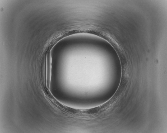 X0000082140685200701191144