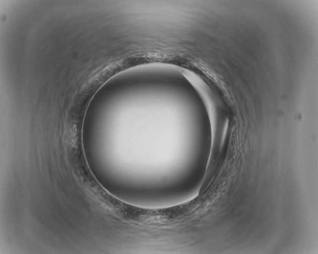X0000082140689200701191144