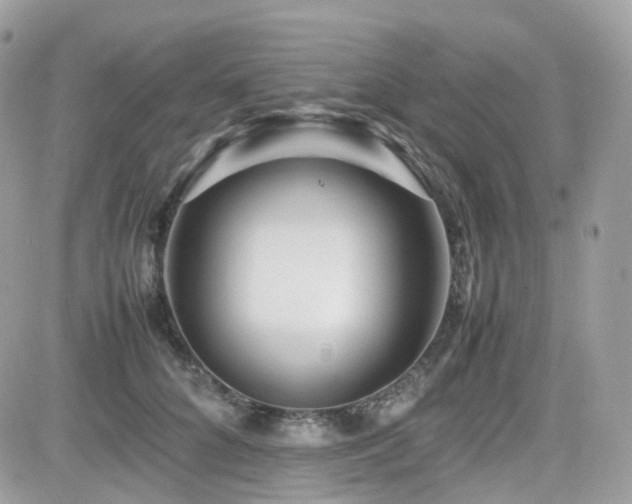 X0000082140704200701191144