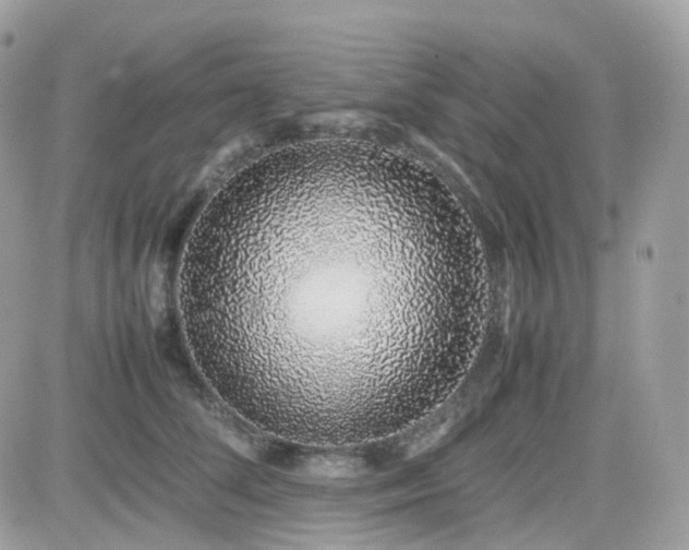 X0000082140708200701191144