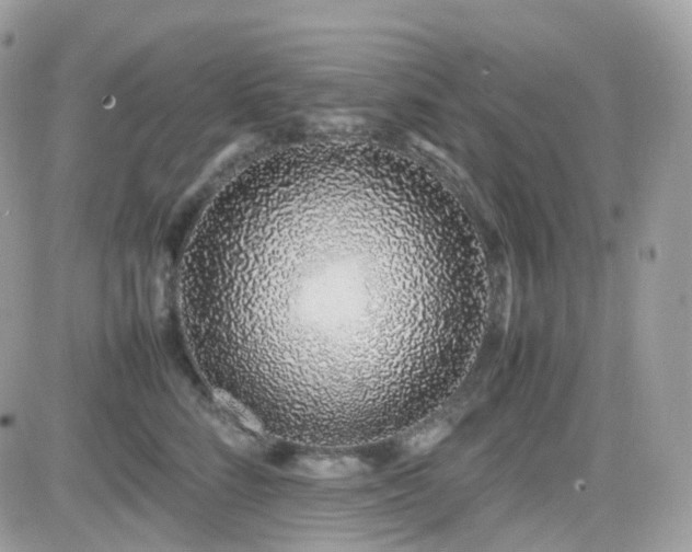 X0000082140712200701191144