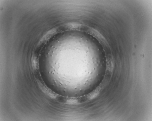 X0000082140718200701191144