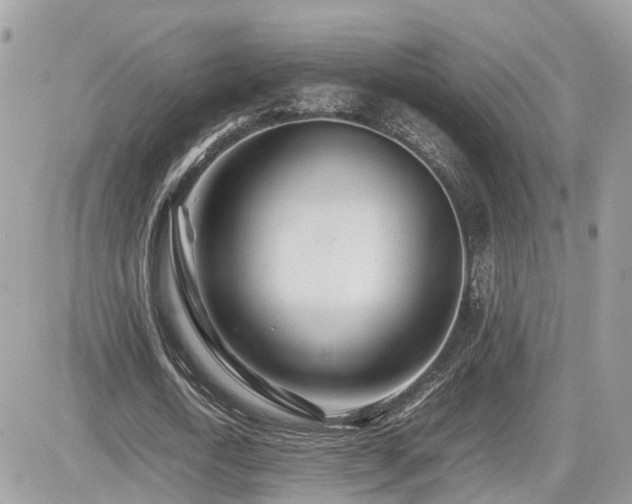 X0000082140722200701191143