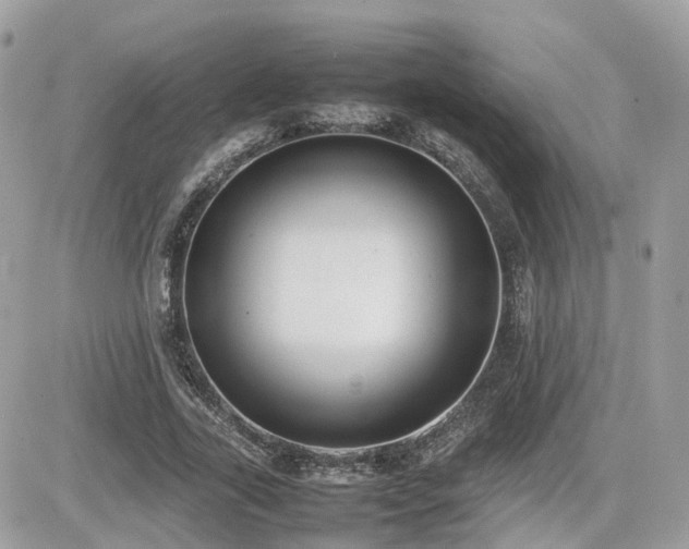 X0000082140731200701191143