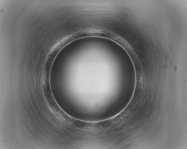 X0000082140732200701191143