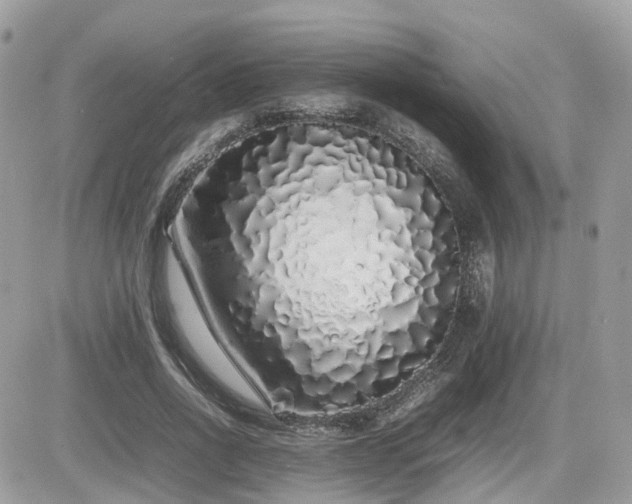 X0000082140734200701191143