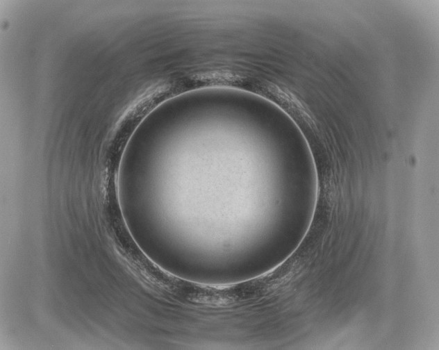 X0000082140735200701191143