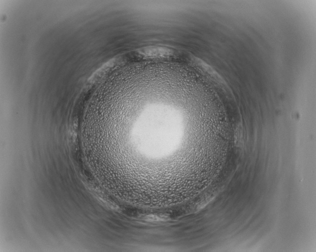 X0000082140737200701191143