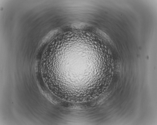 X0000082140738200701191143