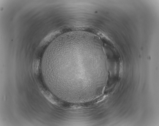 X0000082140742200701191143