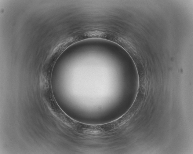 X0000082140743200701191143